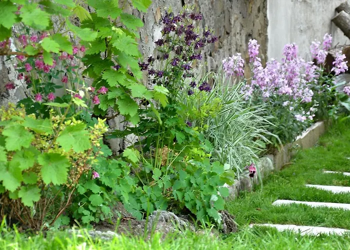 Kani Gasthuis Sozopol