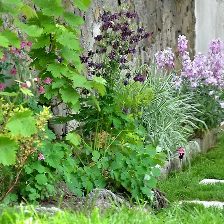 Kani Pensjonat Sozopol