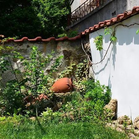 Casa de hóspedes Kani 3*